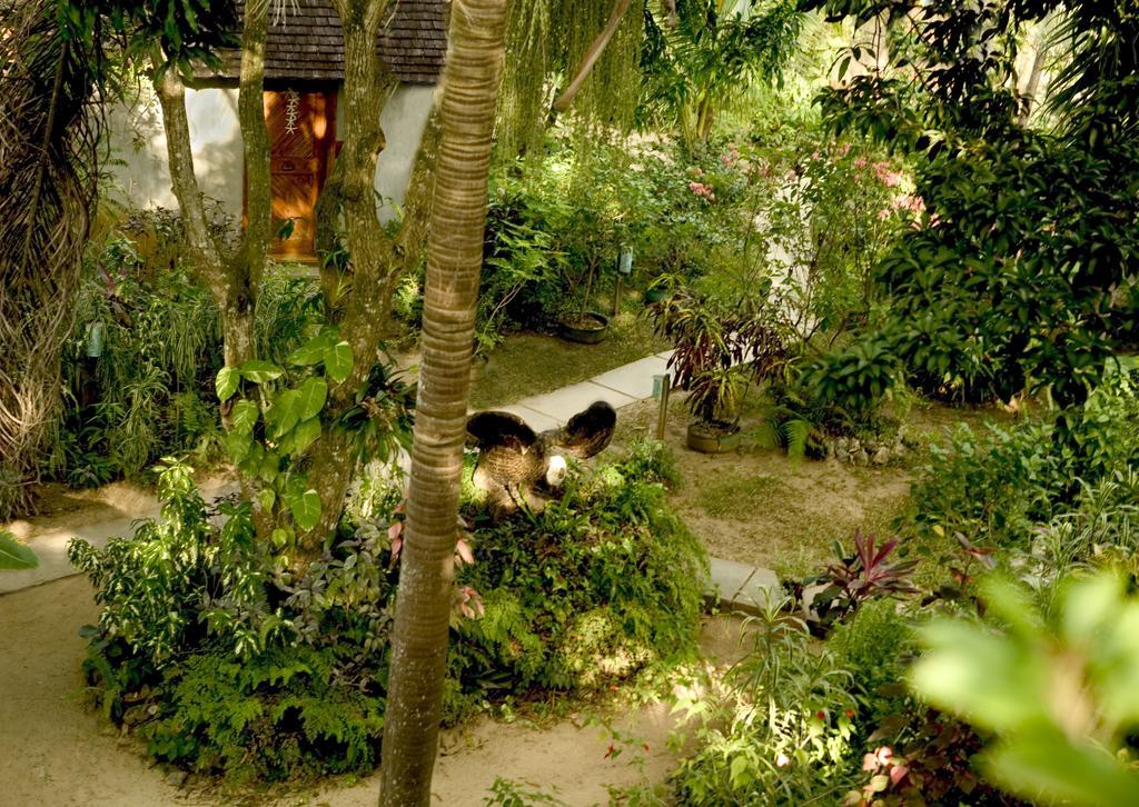 Hotel Whistling Bird Negril Exterior foto