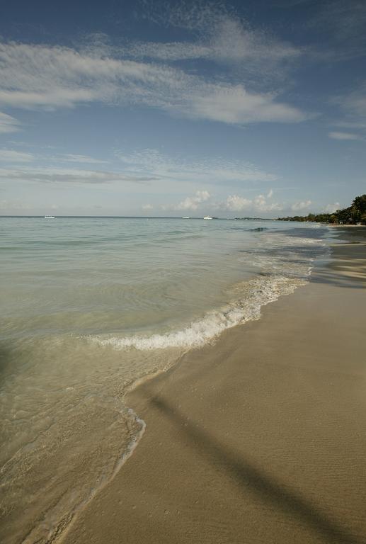 Hotel Whistling Bird Negril Exterior foto